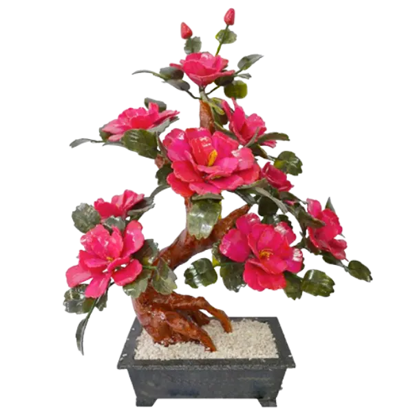 Bonsai Mẫu Đơn 9 Bông 003