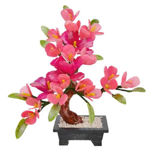 [ADA.T03.001] Bonsai Hoa Đào Tiên